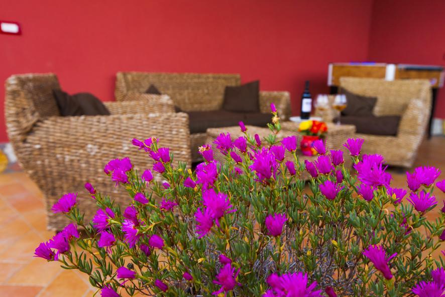 Bed and Breakfast Profumo Di Zagara Paceco Exterior foto